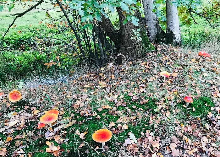 Kleine Burg * Ovelgonne